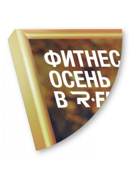 Рамка Нельсон 02, 40х60,  золото глянец анодир. в Тольятти - картинка, изображение, фото